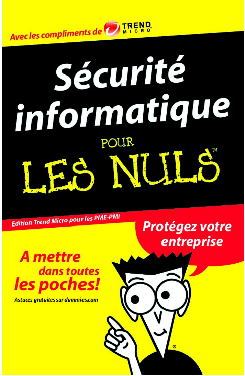 Sécurité informatique:POUR LES NULS: EDITION PME-PMI