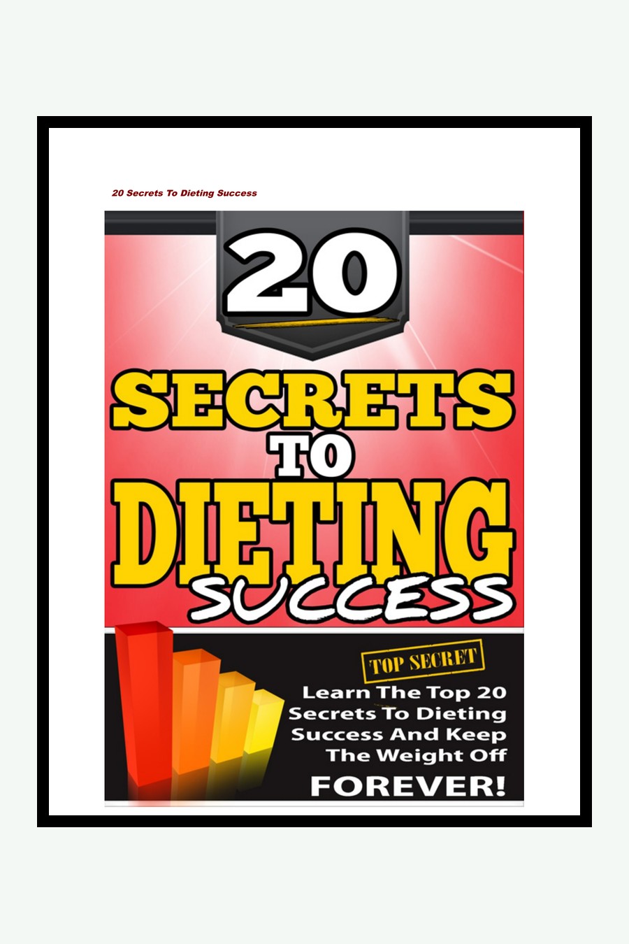 20 Secrets To Dieting Success couverture