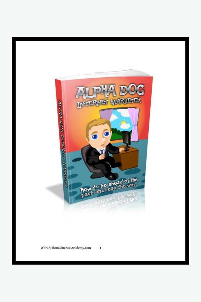 Marketeur Internet Alpha