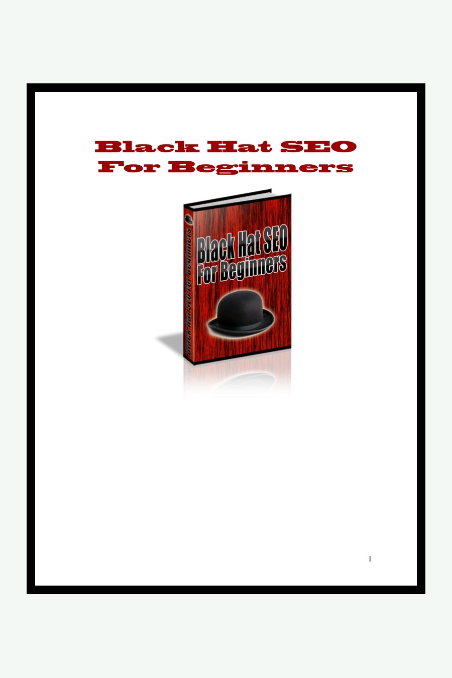 Black Hat Seo For Beginners couverture
