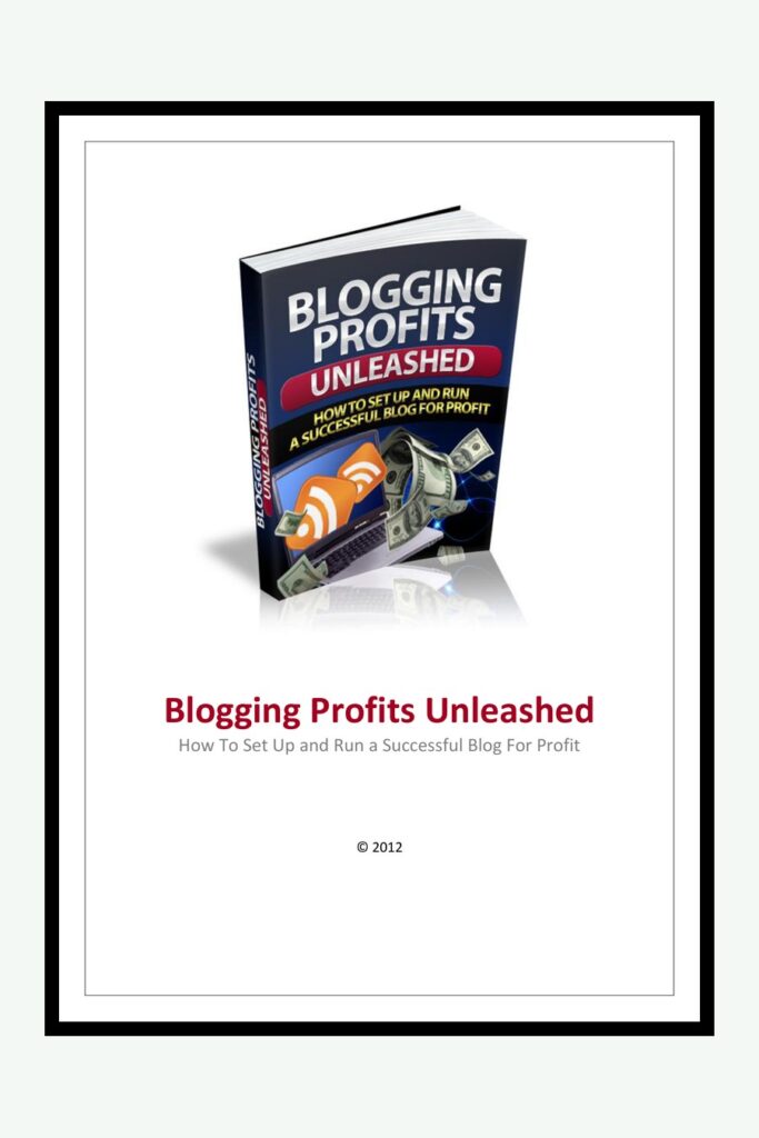 Profits du blogging révélés