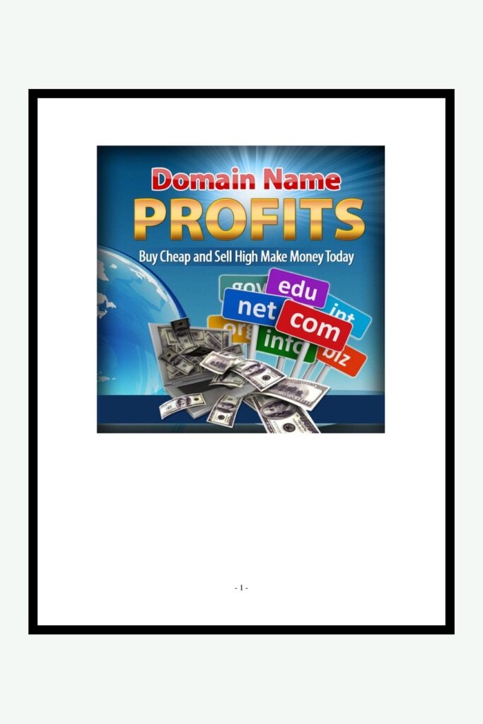 Profits des noms de domaine